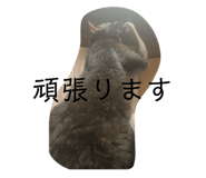 789103092