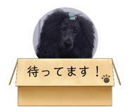 789124851