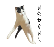 789141790