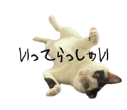 789141791