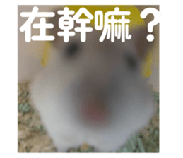789185240