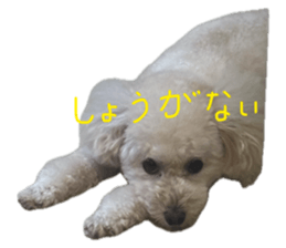 789205132
