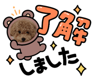 789205217