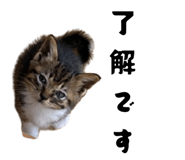 789208737