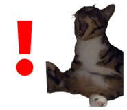 789208741