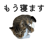 789208746