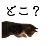 789208752