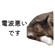 789208756