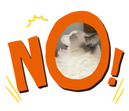 789215275