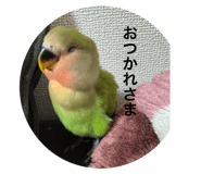 789231297