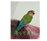 789231299