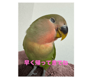789231301
