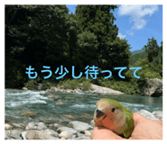 789231304