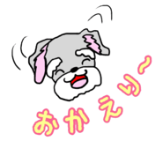 78923735