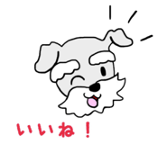 78923743