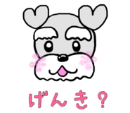 78923747