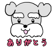 78923750