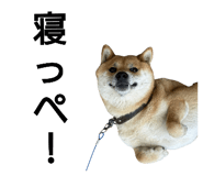 789249993