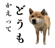 789249994