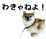 789249997