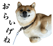789250007