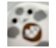 789251861