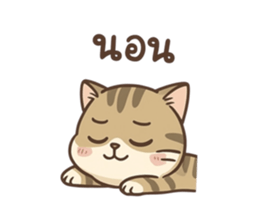 789285658