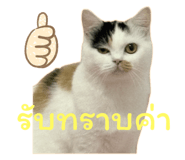 789285779