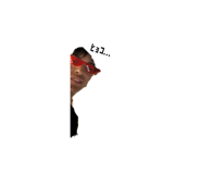 789300372