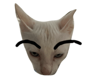 789306176