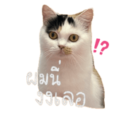 789307609