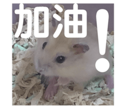 789322536