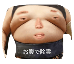 789322855