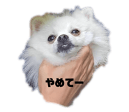789345987