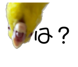 789353360