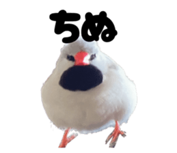 789353362