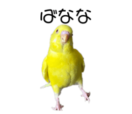 789353366