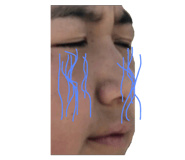789355652