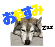 789365044