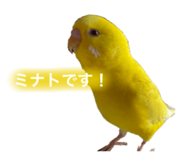 789372293