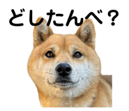 789373433