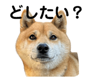 789373434