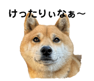 789373436