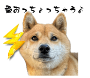 789373440