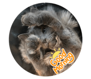 789374689