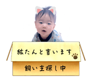 789376706