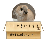 789376708