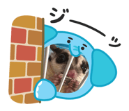 789377146