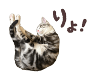 789378179