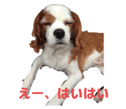 789385598